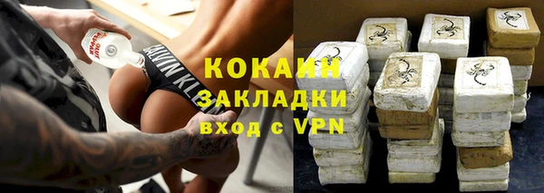 хмурый Ельня