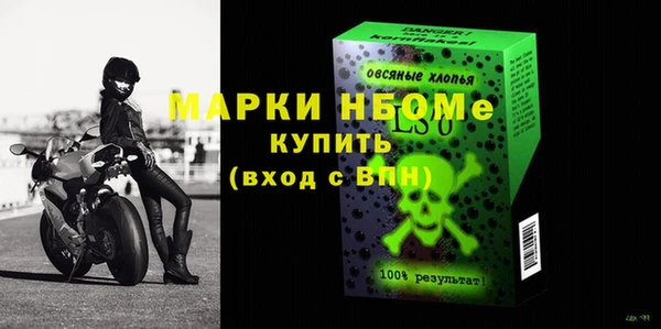 хмурый Ельня