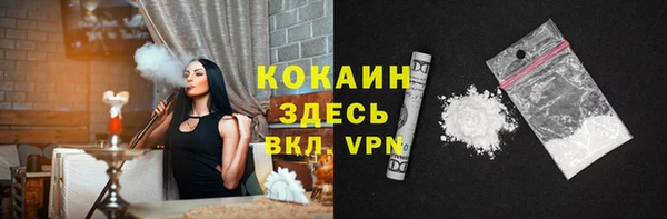 хмурый Ельня