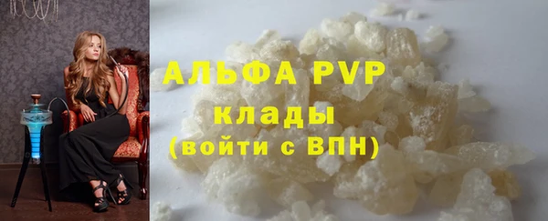 хмурый Ельня