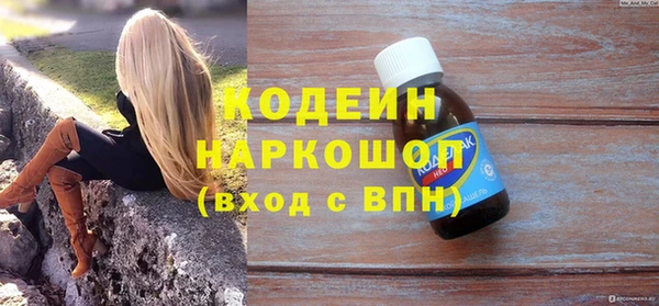 хмурый Ельня