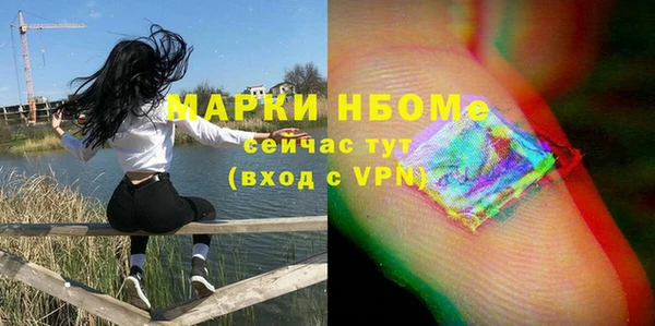 хмурый Ельня
