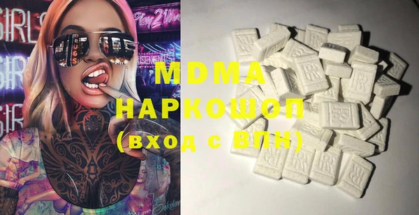 хмурый Ельня