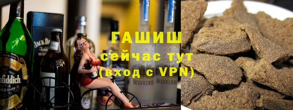 хмурый Ельня