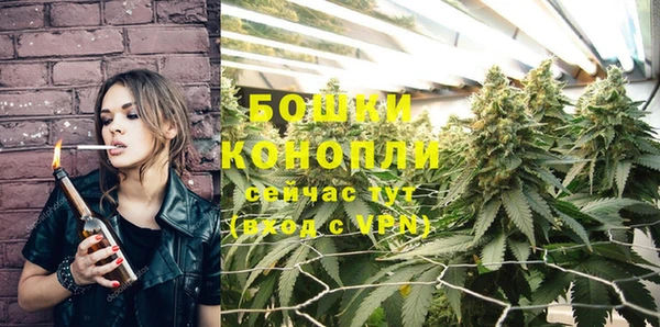 хмурый Ельня