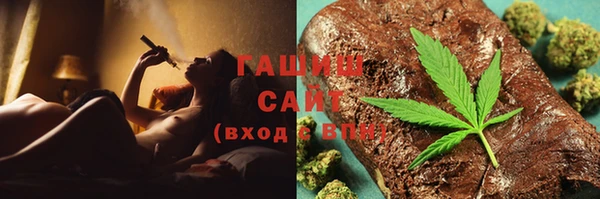 хмурый Ельня