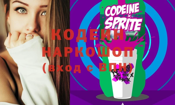 хмурый Ельня