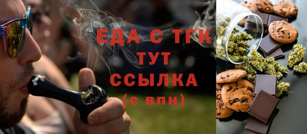 хмурый Ельня